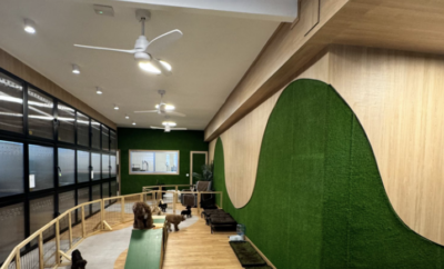 The Dogg Hotel & Spa | Hotel boutique para perros | Madrid
